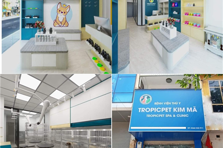 THIẾT KẾ THI CÔNG SHOP BỆNH VIỆN MINI THÚ CƯNG ĐẸP RẺ TẠI HẢI PHÒNG 